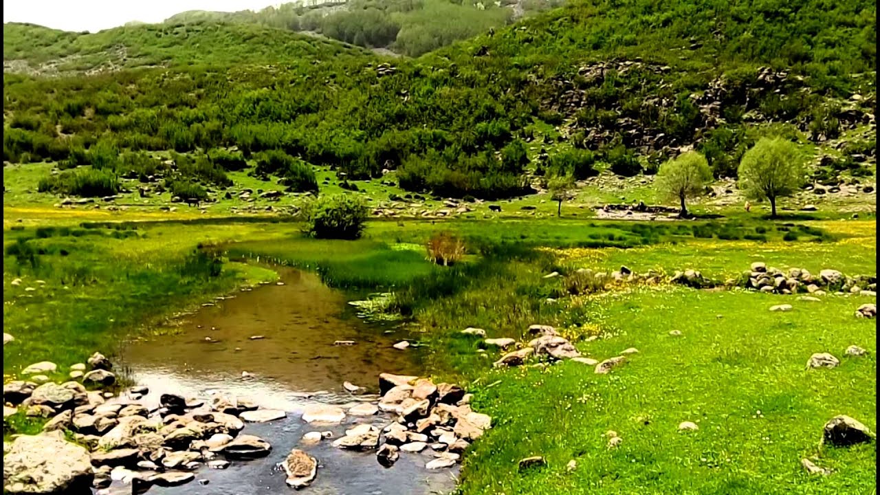 Şebinkarahisar - Turpçu Köyü - Yedi Gözeler