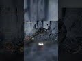 When the boss fight turns into pure chaos 