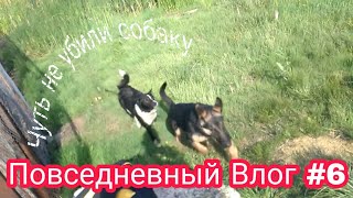 Повседневный Влог #6(чуть не убили собаку) Повседневный Влог #6(чуть не убили собаку)