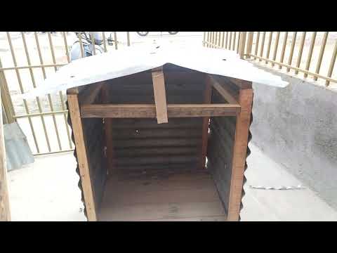 Video: Cómo construir una caseta de perro fácil de madera