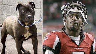 The 15 DUMBEST Excuses Athletes Ever Made