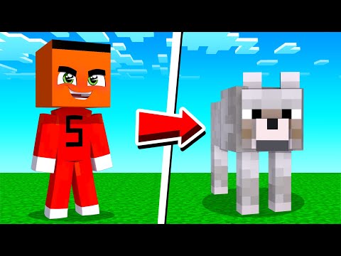 SAMET KÖPEK OLARAK TROLLÜYOR !! - Minecraft