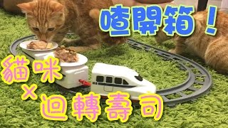 【喳開箱#1】貓咪VS迴轉壽司 Kitty VS Sushi Train