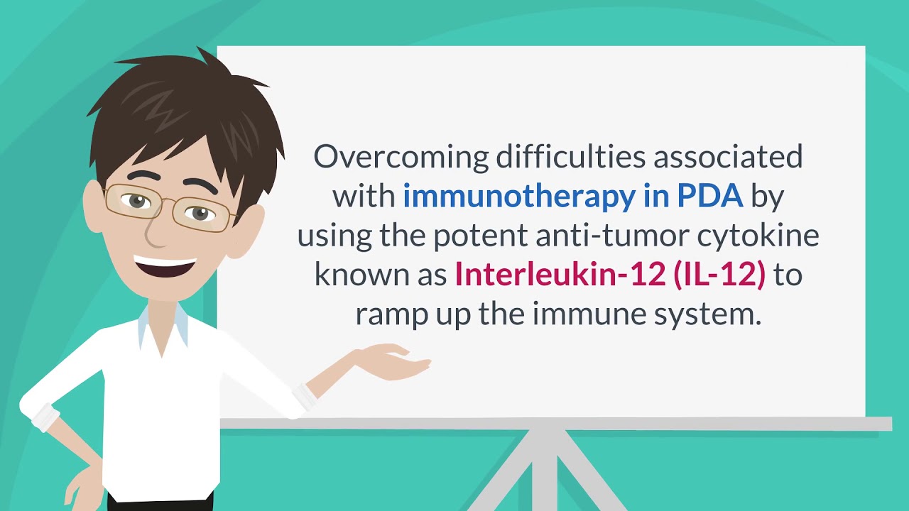 A Novel Combination Therapy for Pancreatic Ductal Adenocarcinoma - Dr ...