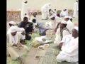 ثنائي الصحوة أشرف و هشام بلادي أهلا ثنائي الصحوة أشرف و هشام بلادي أهلا