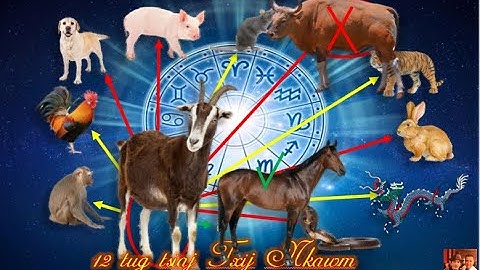 Saib neeg yug Yaj Xyoo tus txij nkawm ib txhis raug thiab tus txwv tsis pub yuav