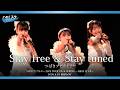 つばきファクトリー『Stay free & Stay tuned』ハロ！ステ Live Edit.