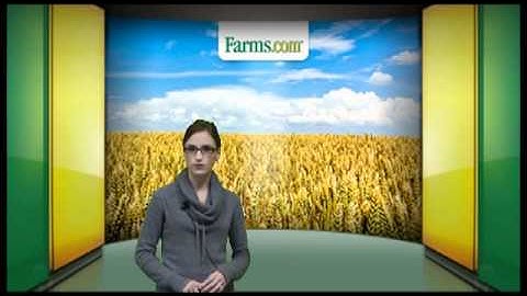 Farms.com Grain Market Report:  USDA Crop Progress     Farmsvideo