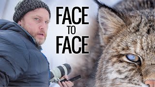 Bobcat - The Best Wildlife Experience of My Life (Face to Face with a Big Cat)