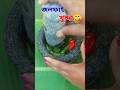 Tenga manei Jiva pani pori jai l #olive #tenga #assamese #ytshorts #shortsviral