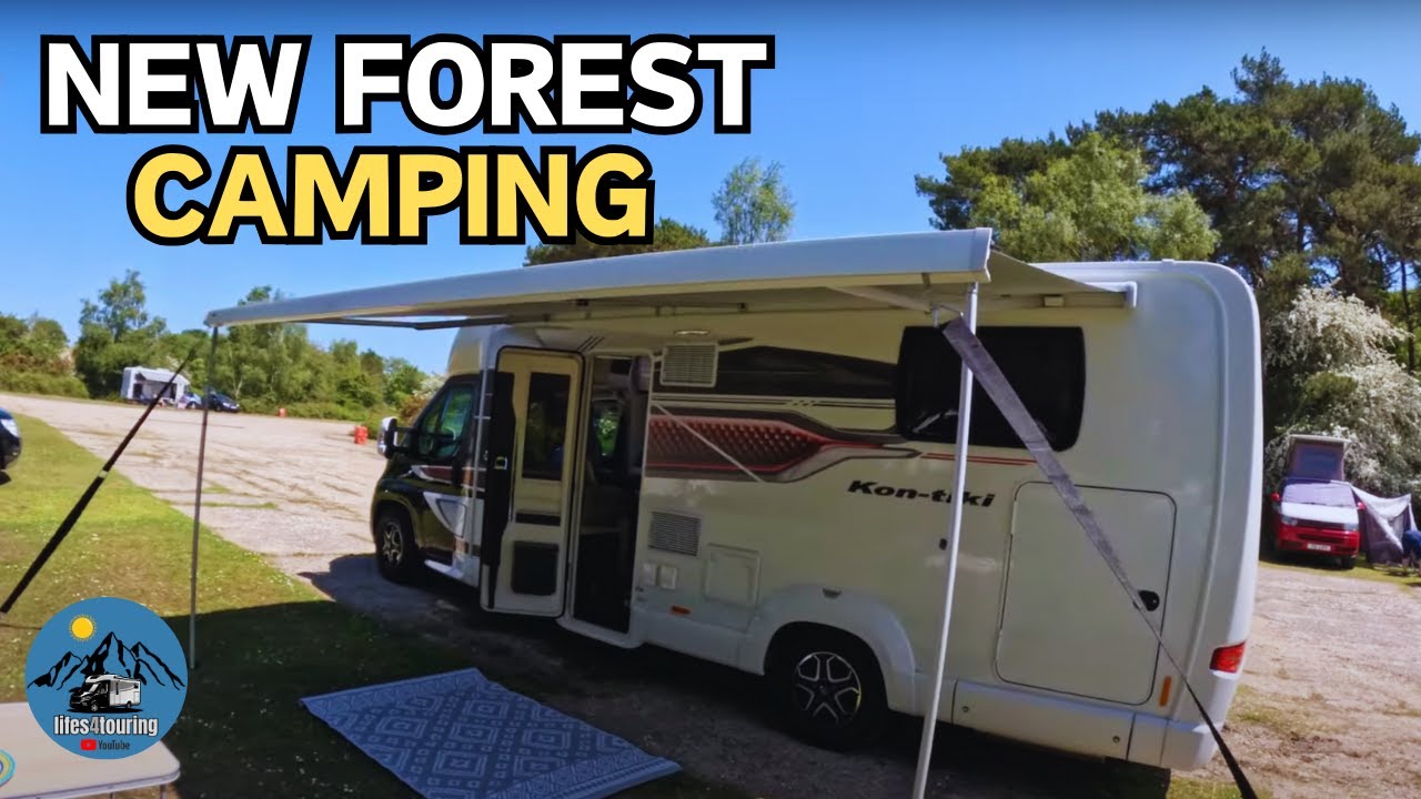 The New Forest Ocknell caravan and camping site - WILD HORSES