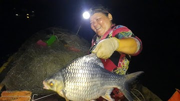 101 Con Chó.....Cá(Cá Cầy)| Bầy Cá Cầy Sa Lưới |66TV