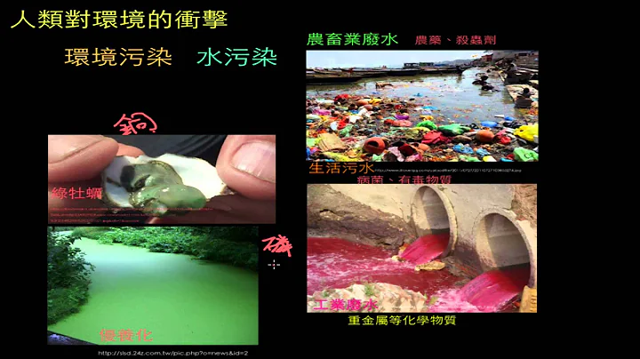 人類對環境的衝擊1 - 環境污染 - 天天要聞