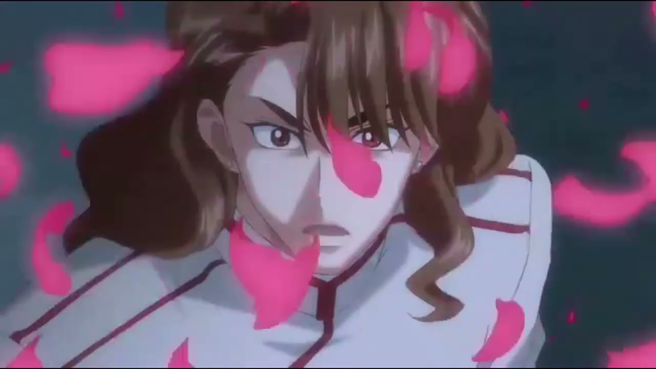 Sailor Senshi and Shitennou amv