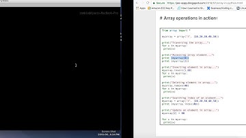 Array In Python | Traverse, Insert, Update, Delete, Search Array In Python