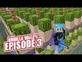 AUTO BONE MEAL / CACTUS FARM | Minecraft Online Survival Timelapse Season 1 Episode 3 | GD Venus |