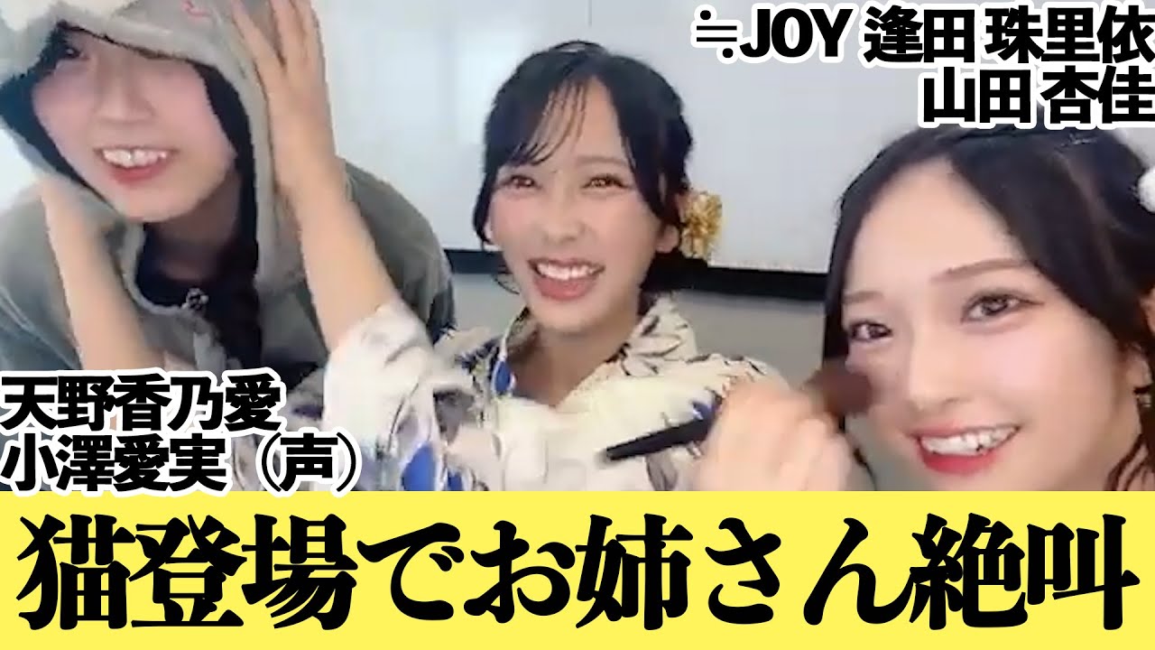 【≒JOY逢田珠里依&山田杏佳】最年少ネコ（天野香乃愛）が可愛すぎてお姉さんメンバー悶絶！【小澤愛実】【ニアジョイ】