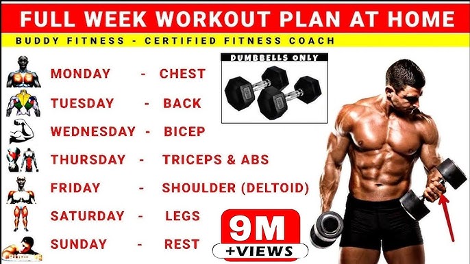 Gym Workout Plan For Muscle Gain