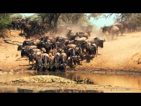 Видео: Национален парк Руаха: Пълното ръководство