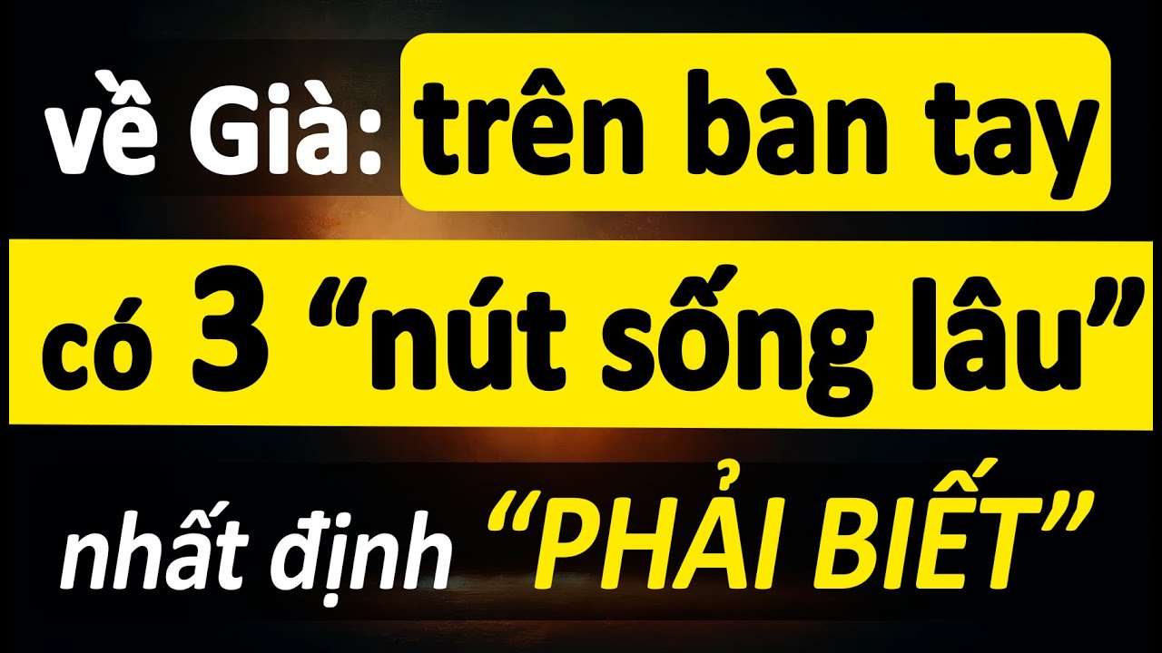 Trên Bàn Tay Có 3 