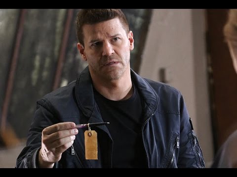 Βίντεο: David Boreanaz: βιογραφία, δημιουργικότητα, καριέρα, προσωπική ζωή