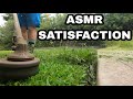 $5000 giveaway update! ASMR lawn mowing VLOG