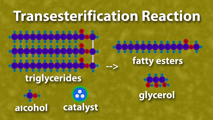 Biodiesel Masterclass: What is Biodiesel?