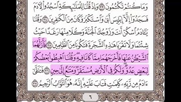 سورة البقرة من 36 - 37 مكررة خمس مرات للحفظ