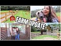 The STALLIONS ARE GONE! + A New Dog?!? | FARM UPDATE!
