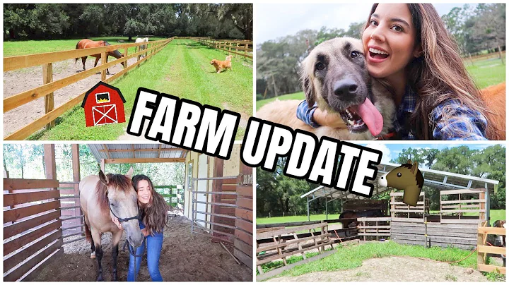 The STALLIONS ARE GONE! + A New Dog?!? | FARM UPDA...