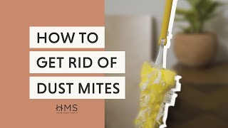 HOW TO GET RID OF DUST MITES