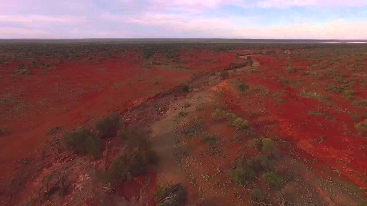 Ninghan Station Western Australia