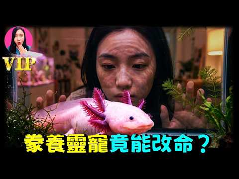 被禁封的天涯神貼！(只因太神奇）都市里養“靈寵”，他們都經歷了哪些不可思議的「夙願成真」? [驚掉下巴 | 小烏]