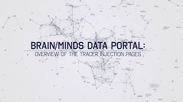 Brain/MINDS Data Portal: Overview of the Tracer Injection Pages
