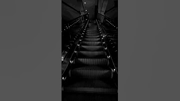 It looks like water is cascading down this escalator #video #videos #shorts #short #fyp #shortvideo