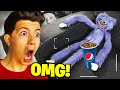 6 YouTubers Who Found HUGGY WUGGY In Real Life! (Preston, MrBeast & PrestonPlayz)