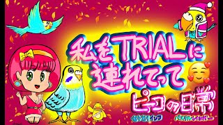 ピーコの日常〜私をTRIALに連れてって🥰🦜