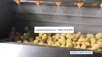 Máy rửa nông sản - máy rửa bóc bỏ khoai tây, gừng, nghệ công nghiệp năng suất cao