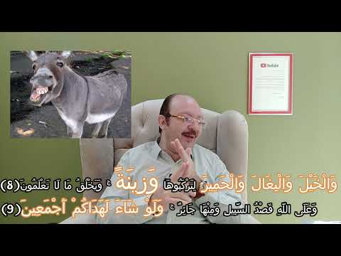 خدعه البغال والحمير الزينه في القران