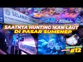 AQUARIUM AIR LAUT #EPS12 | KALAP BELI IKAN!! NAWARNYA KAYA EMAK-EMAK..!!!