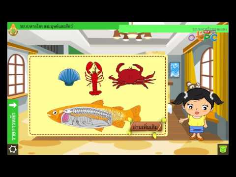 ระบบหายใจของมนุษย์และสัตว์ - สื่อการเรียนการสอน วิทยาศาสตร์ ม.2