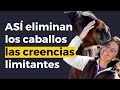 LOS CABALLOS TE ROMPEN los estereotipos y CREENCIAS LIMITANTES. ASÍ LO HACEN