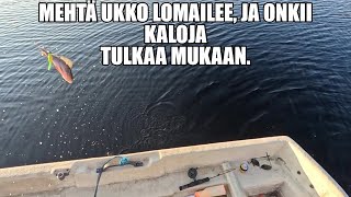 Download Lagu SYÖKÖ KALA AAMULLA VAIKO ILLALLA. MP3 Download Lagu SYÖKÖ KALA AAMULLA VAIKO ILLALLA. MP3