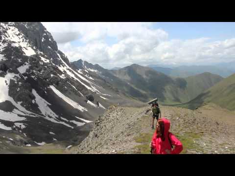 ჭიუხები