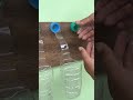 Don't throw away the empty mineral water bottle! Transform it into a balcony planting