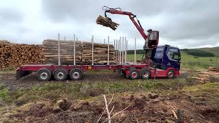 Timber Haulage  Scania V8 R660/Loglift 108s loading 3m spruce in the Scottish Borders