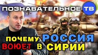 Почему Россия воюет в Сирии? (Познавательное ТВ, Николай Стариков) Почему Россия воюет в Сирии? (Познавательное ТВ, Николай Стариков)