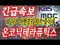 [온코닉테라퓨틱스 주가전망]차트 아름답다