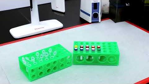 Label free proteomics