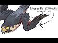 Why It Sucks To Be Born As a Falcon